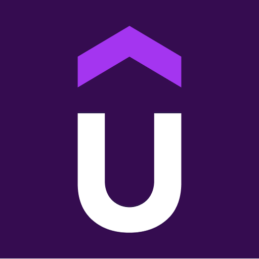 Icon logo